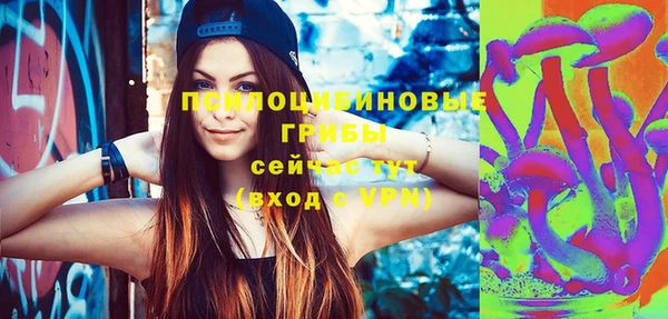 дмт Алзамай
