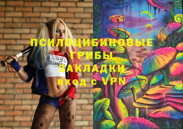 ECSTASY Алексин