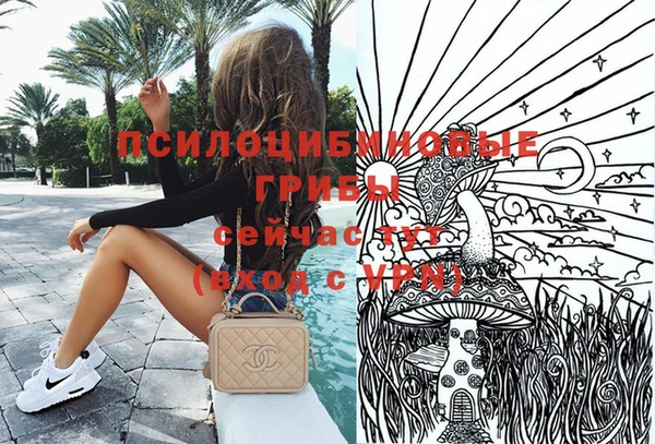 стафф Абдулино