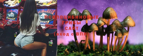 дмт Алзамай